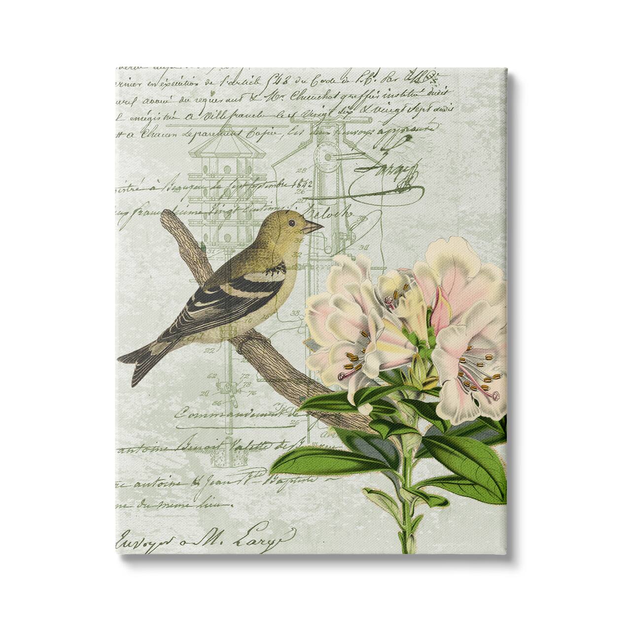 Stupell Industries Bird House Vintage Patent Lily Floral American Goldfinch Canvas Wall Art